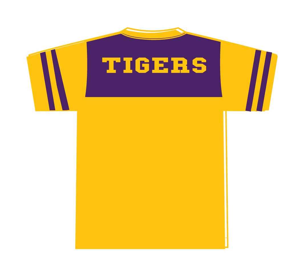 PSA Collegiate Benedict College Tigers Jersey