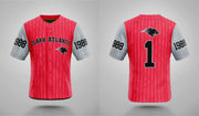 PSA Collegiate Clark Atlanta Panthers Baseball Fashion Top