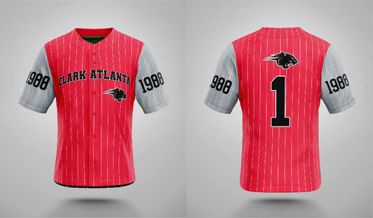 PSA Collegiate Clark Atlanta Panthers Baseball Fashion Top