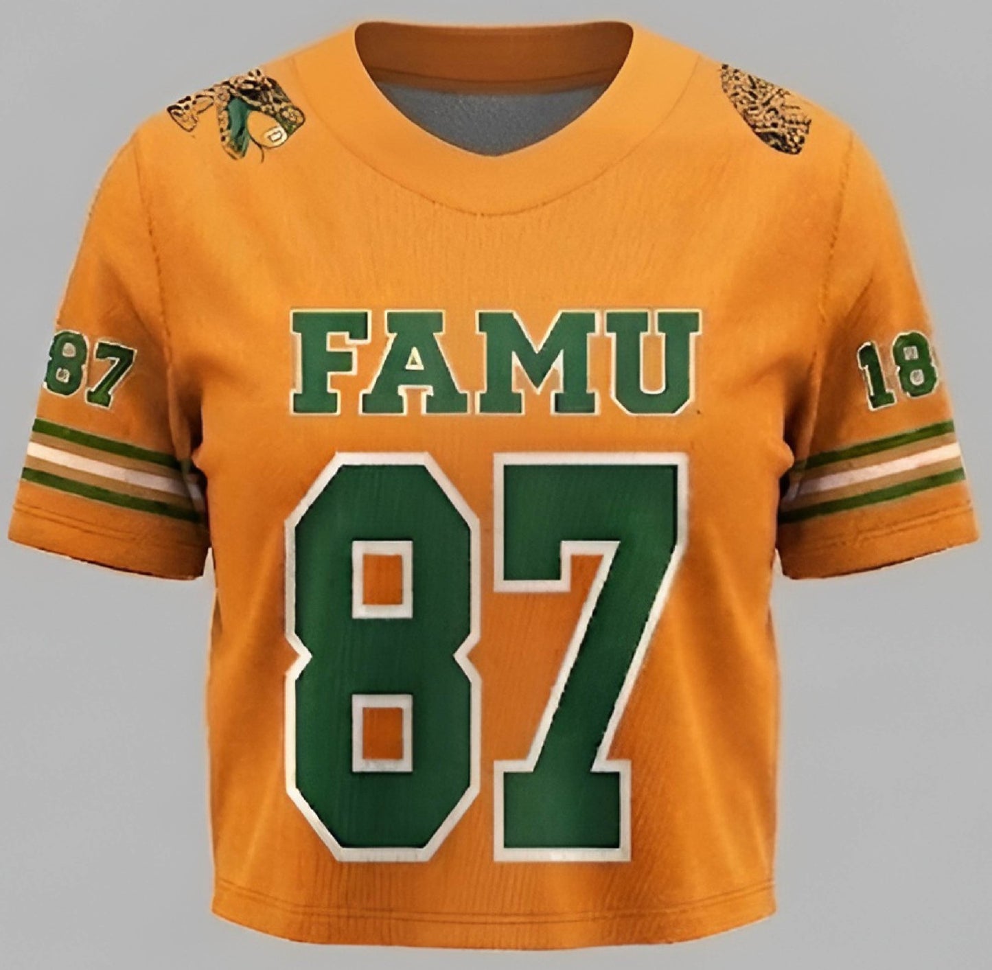FAMU Cropped Sport Fashion Jersey