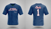 PSA Collegiate Florida Atlantic Owls Pinstripe Baseball Jersey