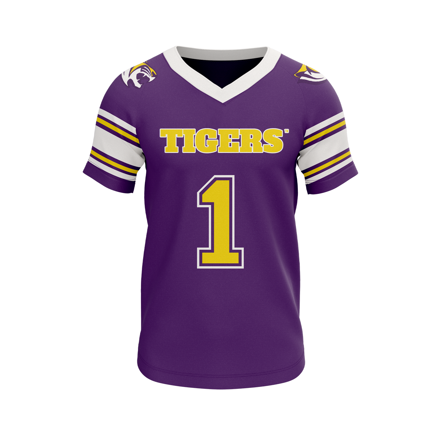 PSA Collegiate Benedict College Tigers Performance Jersey