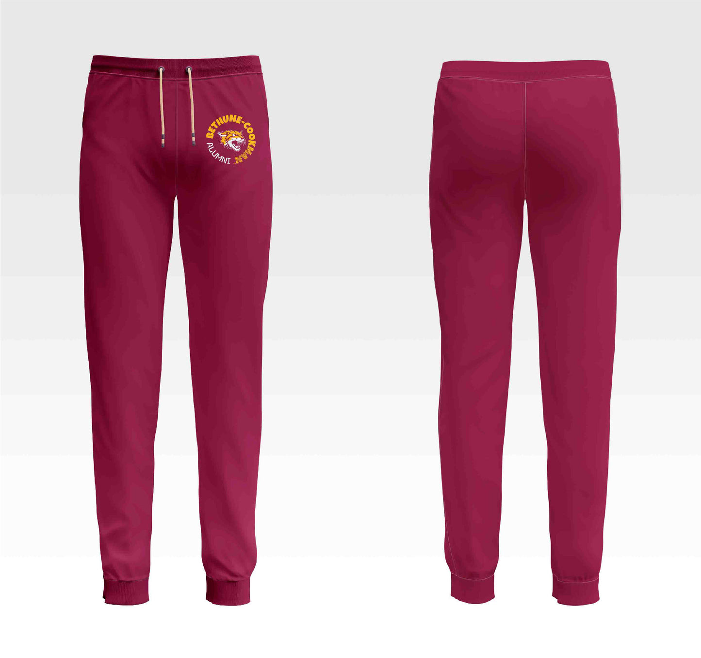PSA Collegiate Bethune-Cookman Wildcats Track Suit Set
