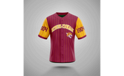 PSA Collegiate Bethune-Cookman Wildcats Pinstripe Baseball Jersey