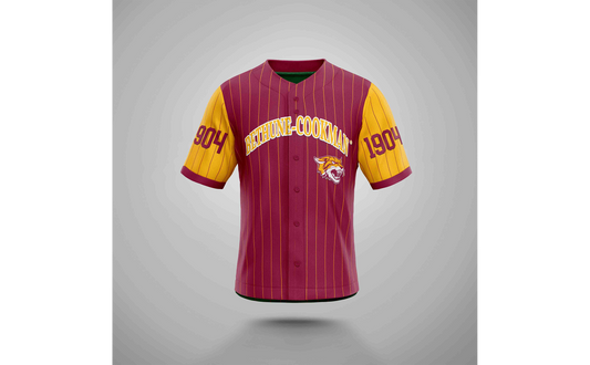 PSA Collegiate Bethune-Cookman Wildcats Pinstripe Baseball Jersey