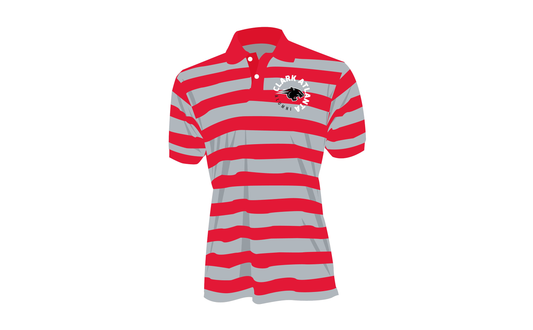 PSA Collegiate Clark Atlanta Panthers Stripe Polo Shirt